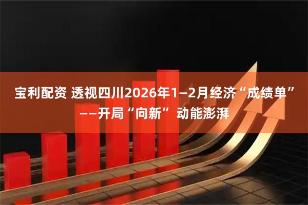 宝利配资 透视四川2026年1—2月经济“成绩单”——开局“向新” 动能澎湃