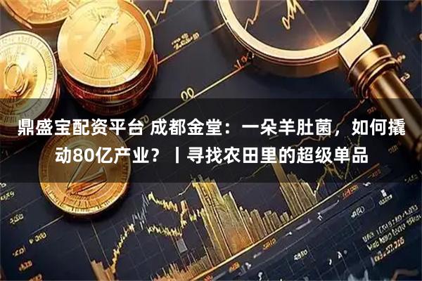 鼎盛宝配资平台 成都金堂：一朵羊肚菌，如何撬动80亿产业？丨寻找农田里的超级单品