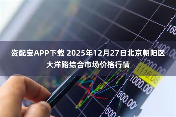 资配宝APP下载 2025年12月27日北京朝阳区大洋路综合市场价格行情