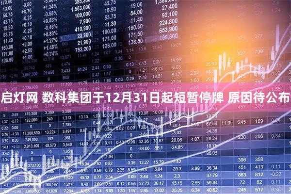 启灯网 数科集团于12月31日起短暂停牌 原因待公布