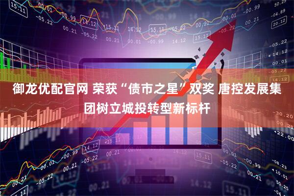 御龙优配官网 荣获“债市之星”双奖 唐控发展集团树立城投转型新标杆