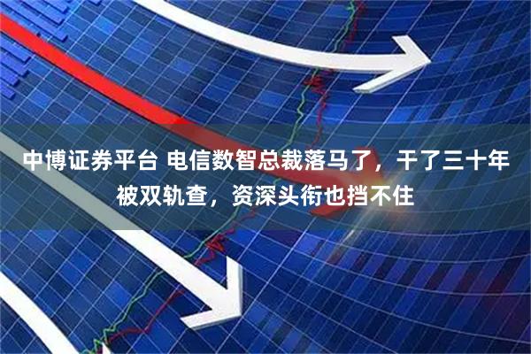 中博证券平台 电信数智总裁落马了，干了三十年被双轨查，资深头衔也挡不住